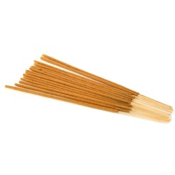 Plant-Based Masala Incense Wands - Aloe Vera - Stamford