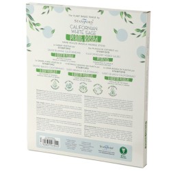 Plant-Based Masala Incense Sticks - California White Sage - Stamford