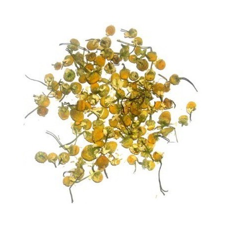 Kwiaty Rumianku 1kg