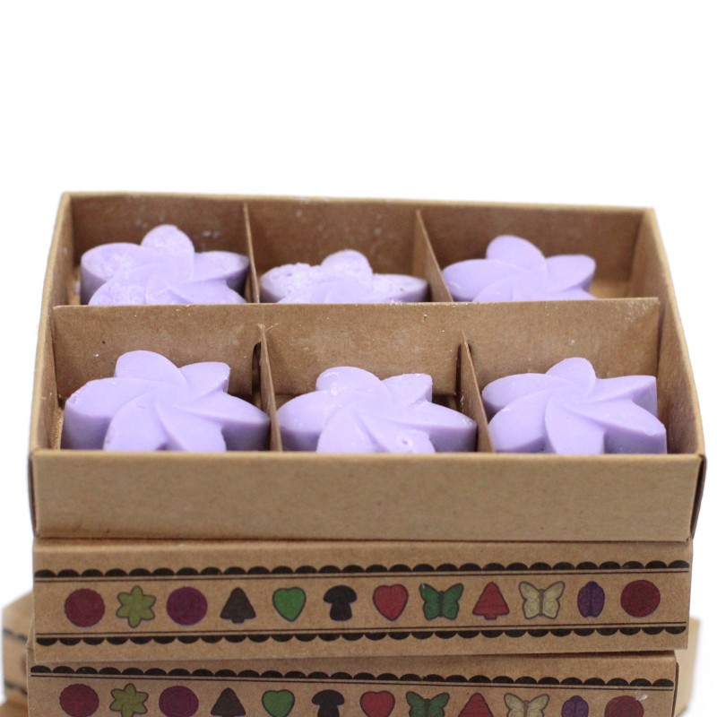 Box of 6 Soy Waxes -Lavender Fields-SOY WAX CANDLES-HOSTENATURA