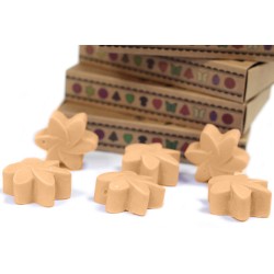 Box of 6 Soy Waxes -Jasmine