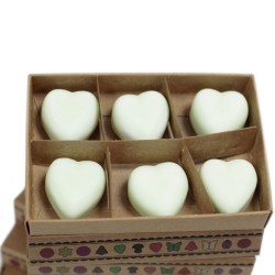 Box of 6 Soy Waxes - Spiced Apple