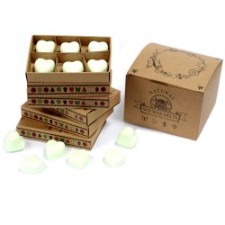 Box of 6 Soy Waxes - Spiced Apple