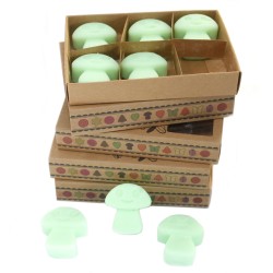 Box of 6 Soy Waxes - Licorice