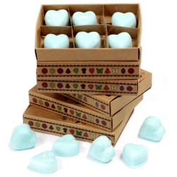 Box of 6 Soy Waxes - Nagchampa