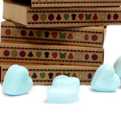 Box of 6 Soy Waxes - Nagchampa