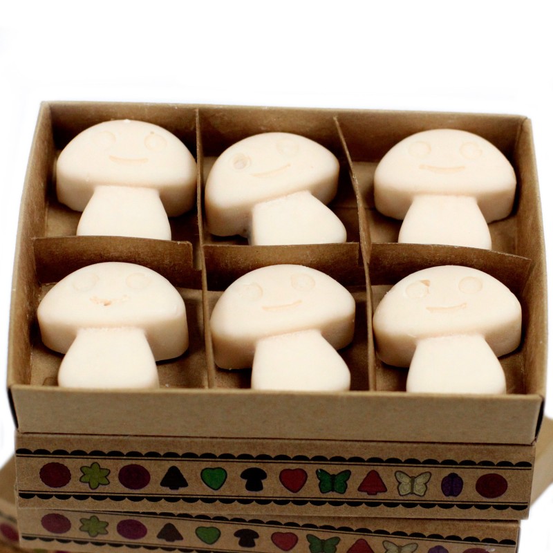 Box of 6 Soy Waxes - Nutmeg and Vanilla-SOY WAX CANDLES-HOSTENATURA