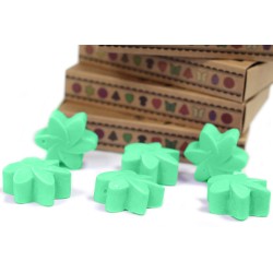 Box of 6 Soy Waxes - Hidden Garden