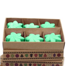 Box of 6 Soy Waxes - Hidden Garden