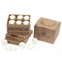 Box of 6 Soy Waxes - White Musk