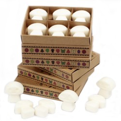 Box of 6 Soy Waxes - White Musk