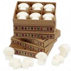 Box of 6 Soy Waxes - White Musk