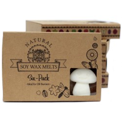 Box of 6 Soy Waxes - White Musk