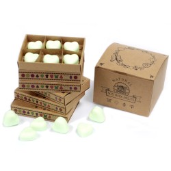 Box of 6 Soy Waxes - Watermelon