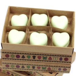 Box of 6 Soy Waxes - Watermelon