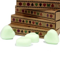 Box of 6 Soy Waxes - Watermelon