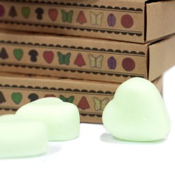 Box of 6 Soy Waxes - Watermelon