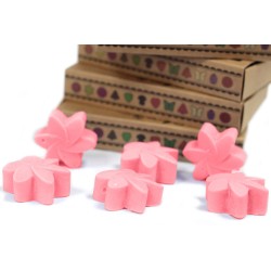 Box of 6 Soy Waxes - Japanese Magnolia