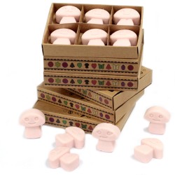 Box of 6 Soy Waxes - Sandalwood