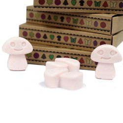 Box of 6 Soy Waxes - Sandalwood