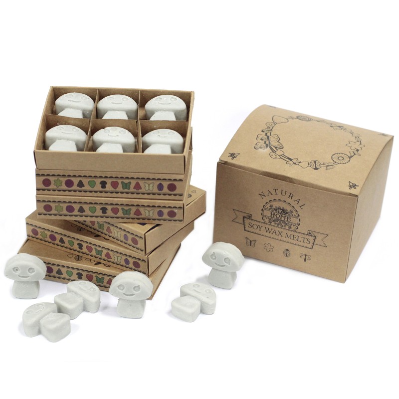 Doos met 6 sojawas - Patchouli-SOJAWAS KAARSEN-HOSTENATURA