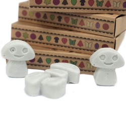 Box of 6 Soy Waxes - Patchouli