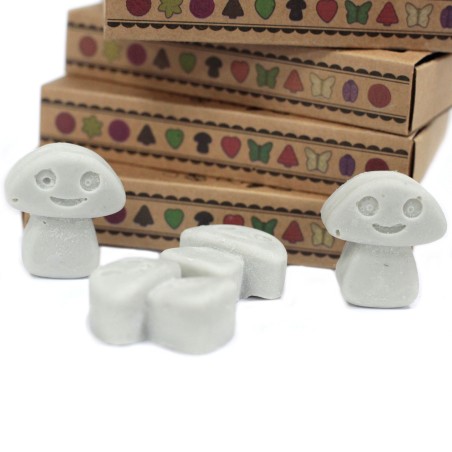 Caixa de 6 Ceras de Soja - Patchouli