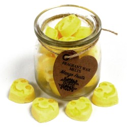 Soy Wax Bottles - Mango