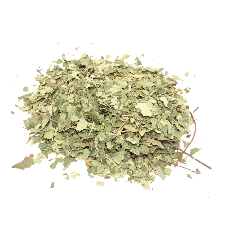 Birch (cut leaf) Birch (cut leaf) 1Kg-DRIED FLOWERS-HOSTENATURA