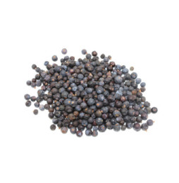 Enebro (bayas) Juniper (berries) 1Kg