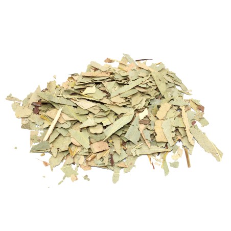 Eucalipto (hoja cortada) Eucalyptus (cut leaf) 1Kg