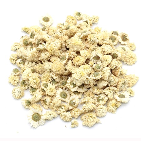 Manzanilla romana (flor) Roman chamomile (flower) 1Kg