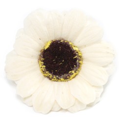 Sunflower flower crafts deco medium - ivory - Soap