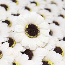 Sunflower flower crafts deco medium - ivory - Soap