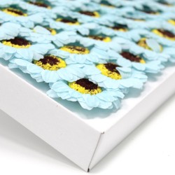 Artesanía de flores de girasol deco medio - azul bebé - Xabón