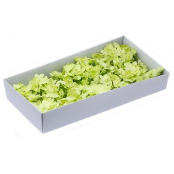 Savon Fleurs Artisanat - Jacinthe - vert - Savon