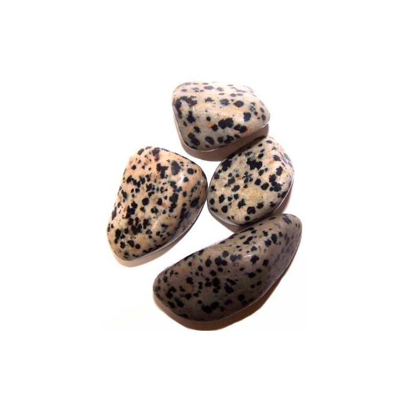 L Tumble Stones - Dalmata - 24 unitats-PEDRES NATURALS IRREGULARS-HOSTENATURA