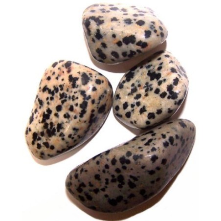 L Tumble Stones - Dalmata - 24 unidades