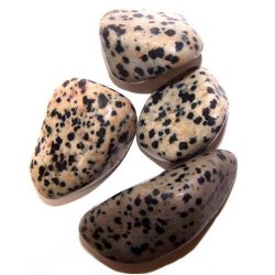 L Tumble Stones - Dalmata - 24 unitats