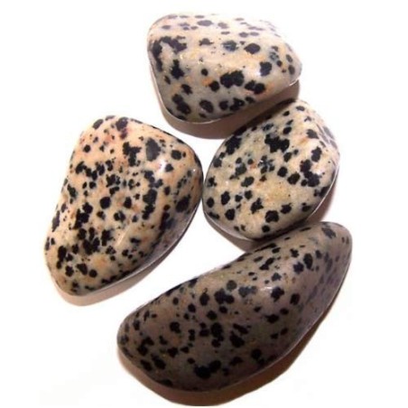 L Tumble Stones - Dalmatiër - 24 stuks