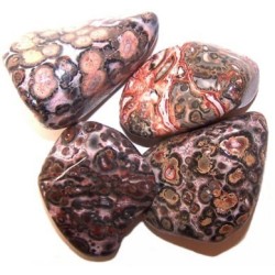 L Tumble Stones - Leopard Skin - 24 unitate