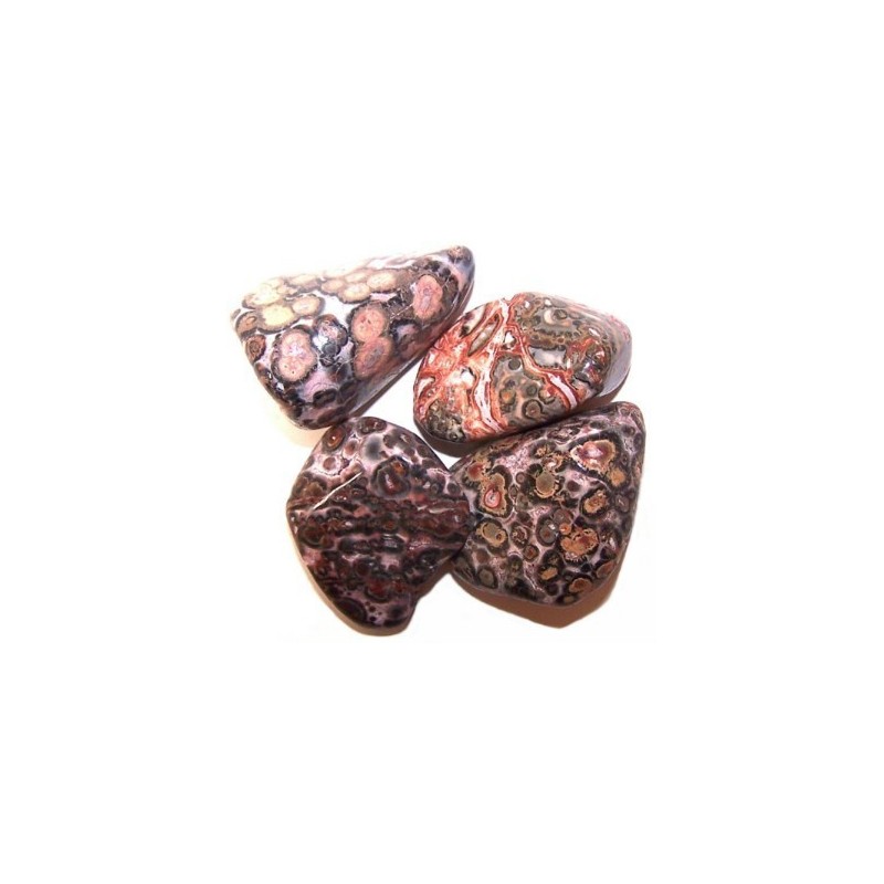 L Tumble Stones - Leopard Skin - 24 unitate-HARRI NATURAL IRERREGULARAK-HOSTENATURA