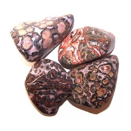 L Tumble Stones - Peau de léopard - 24 unités