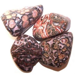 L Tumble Stones - Leopard Skin - 24 unitate