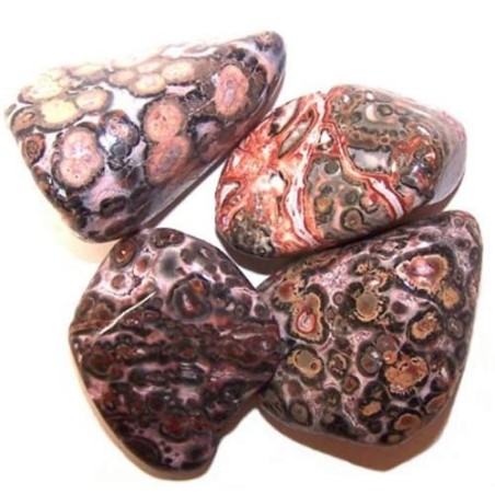 L Tumble Stones - Leopard Skin - 24 unidades