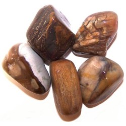 L Tumble Stones - Petrified Wood - 24 units