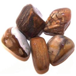 L Tumble Stones - Petrified Wood - 24 units