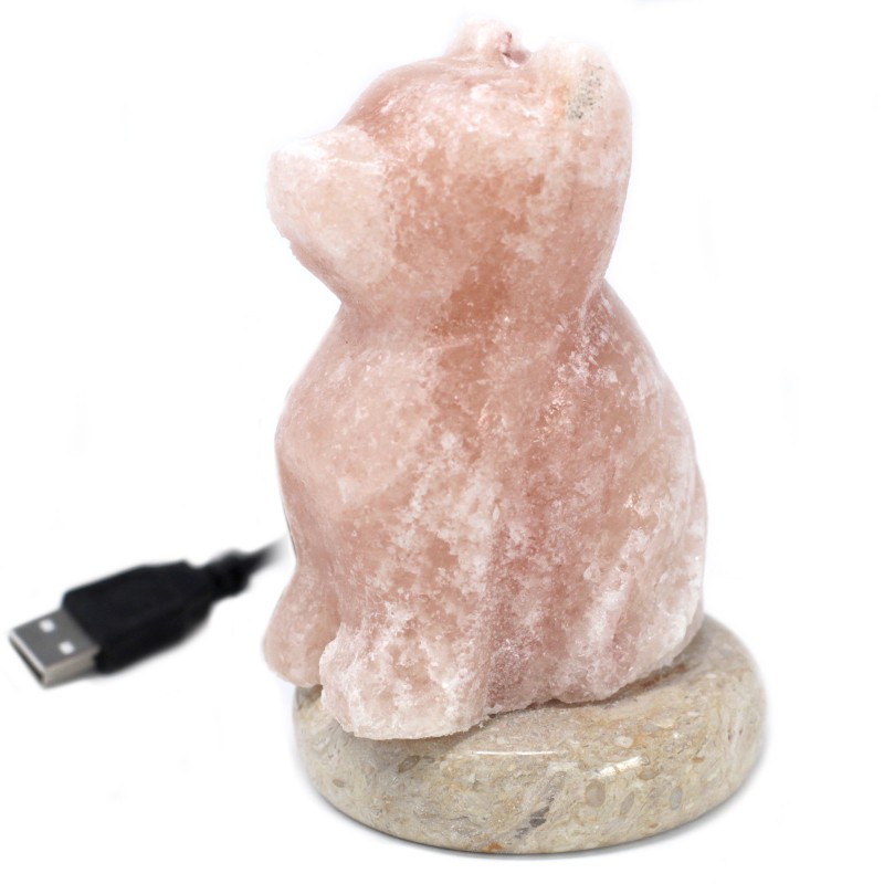 Lampada di sale USB - Cane-LAMPADE DI SALE DELL'HIMALAYA-HOSTENATURA