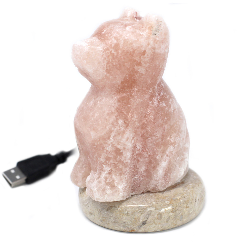Lámpara de sal USB - Perro