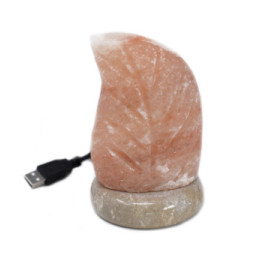 Lámpara de sal USB - Hoja